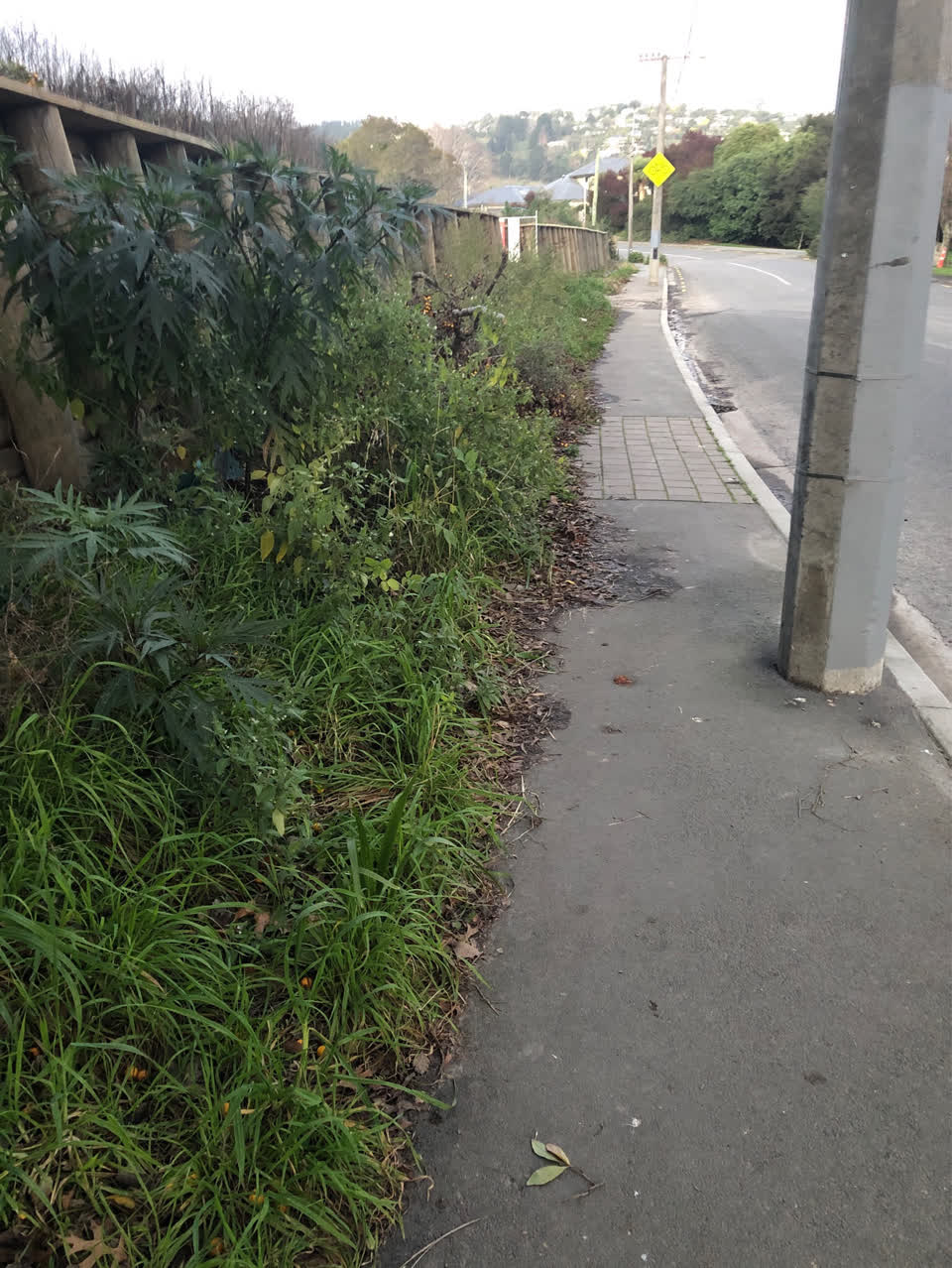 The photograph attached to this roading/streets report