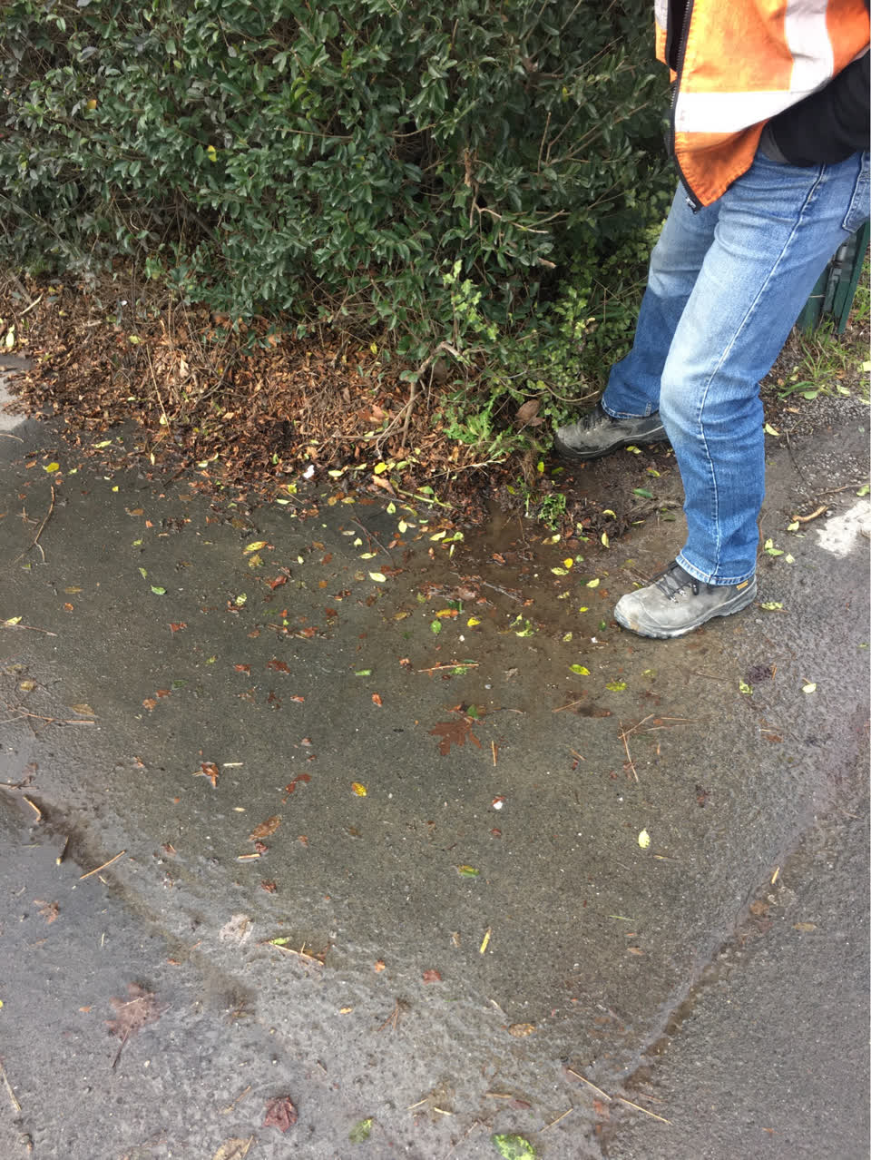 The photograph attached to this water supply report