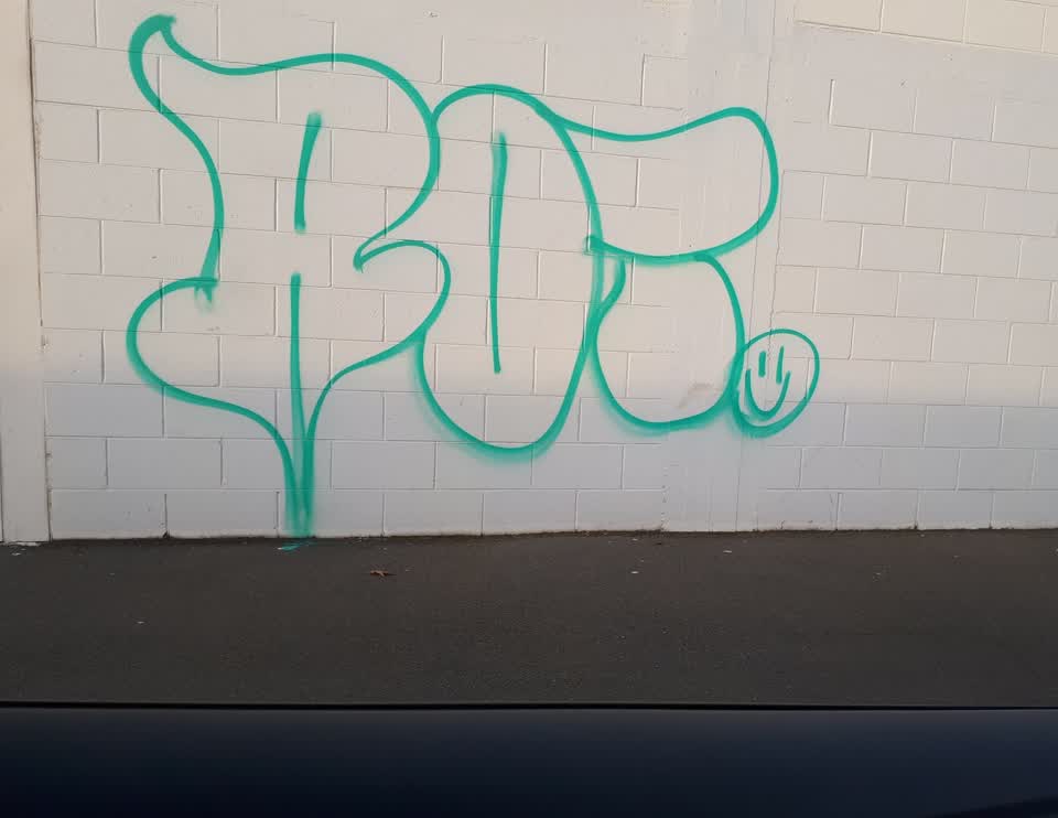 The photograph attached to this graffiti report
