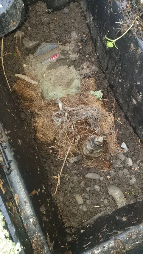 Water Supply, a report photo