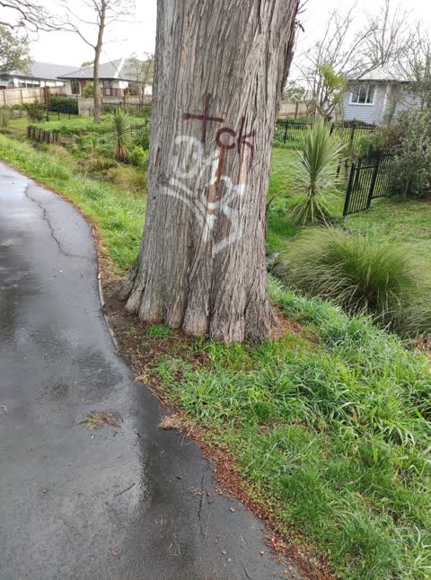 Graffiti, a report photo