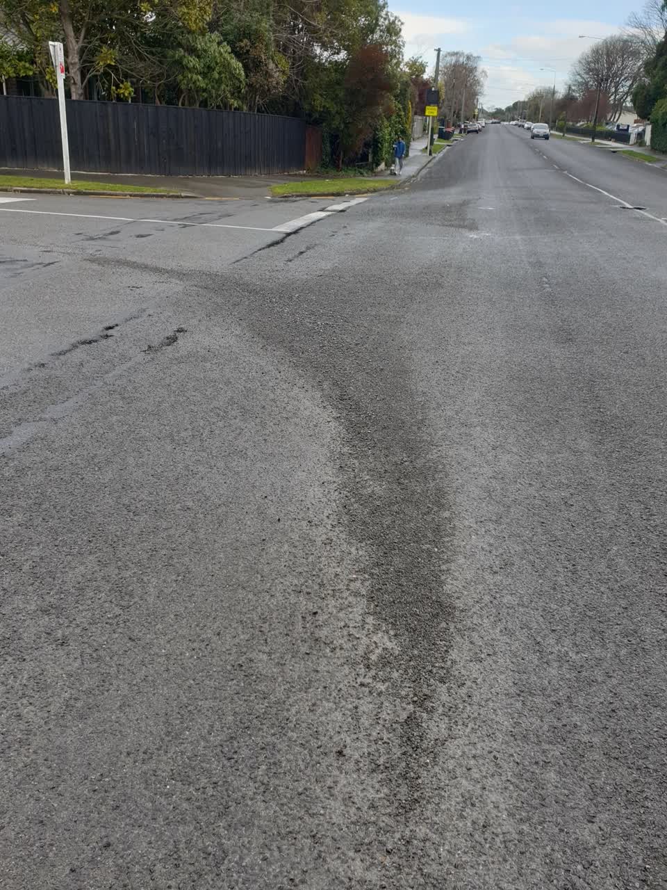 The photograph attached to this roading/streets report