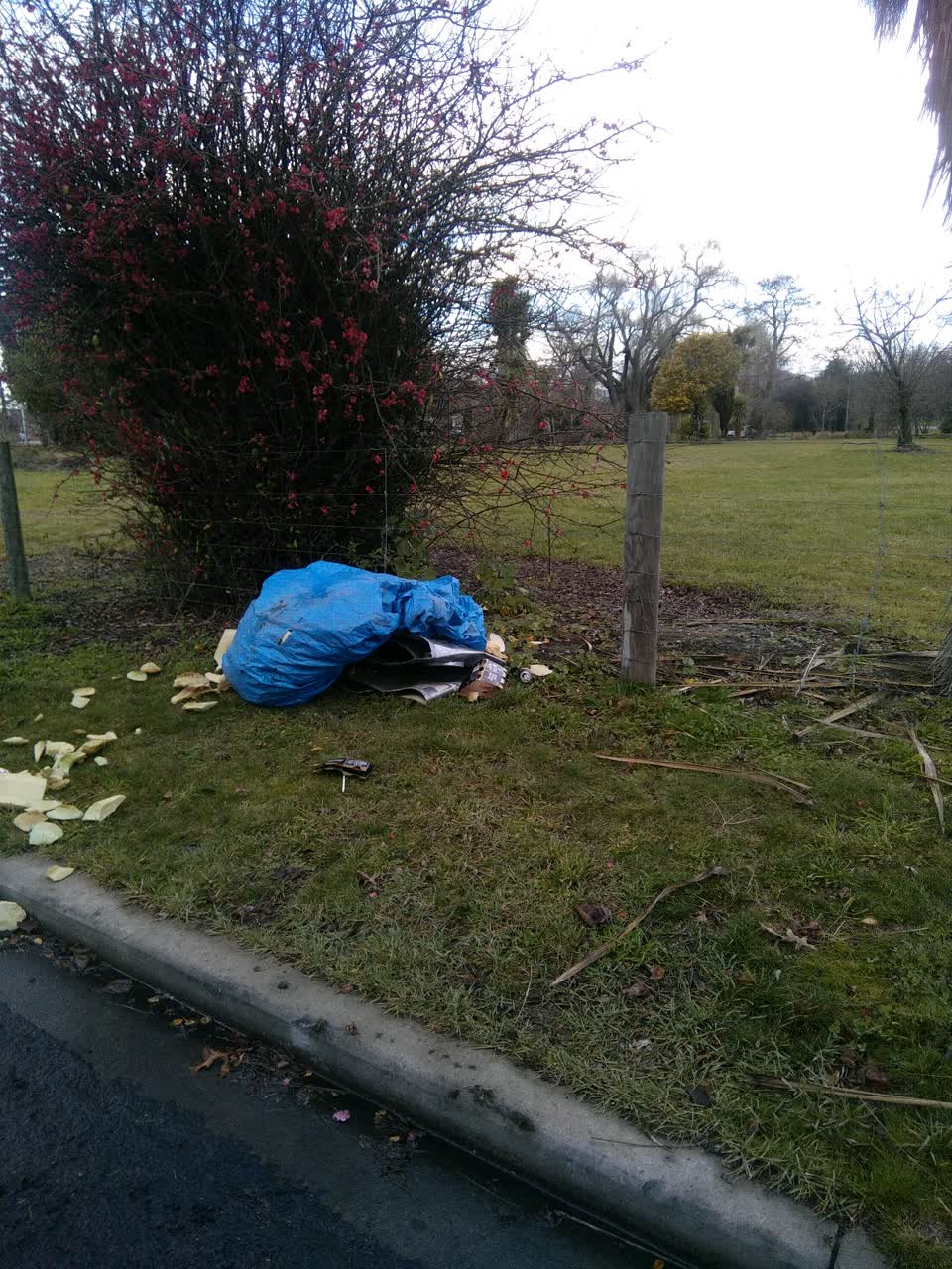 The photograph attached to this rubbish/recycling report