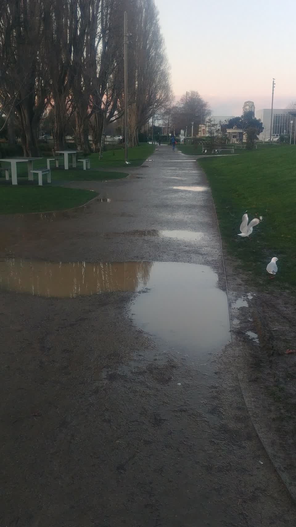 The photograph attached to this parks report