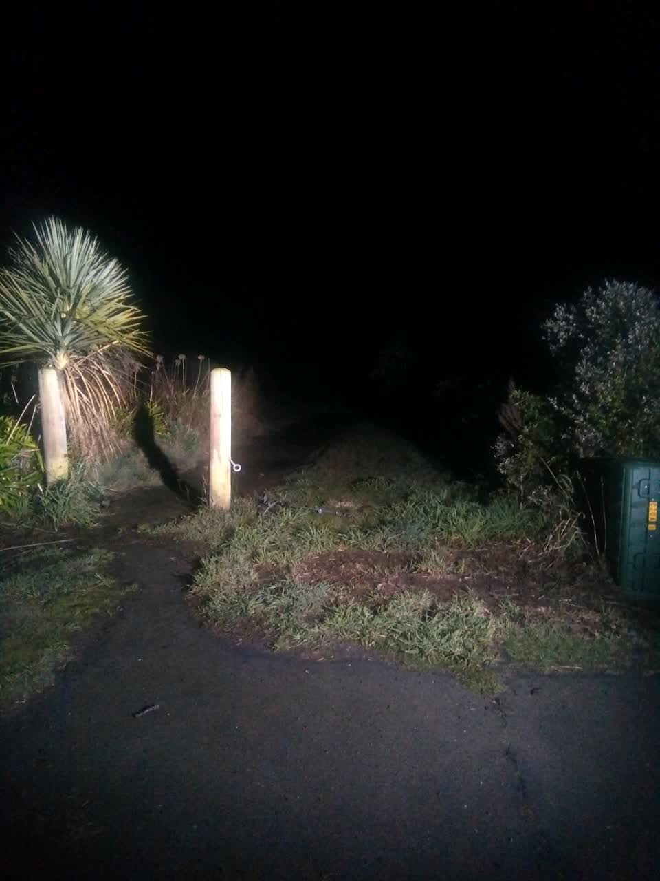 The photograph attached to this parks report