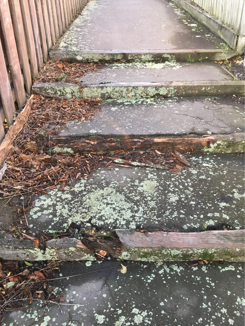 The photograph attached to this parks report