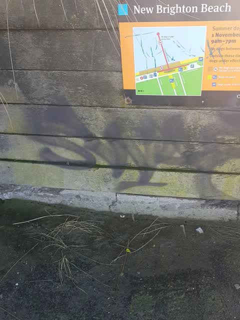 Graffiti — a report photo