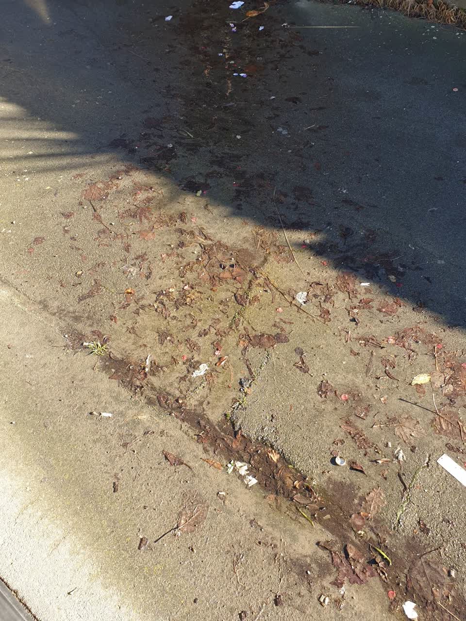 The photograph attached to this water supply report