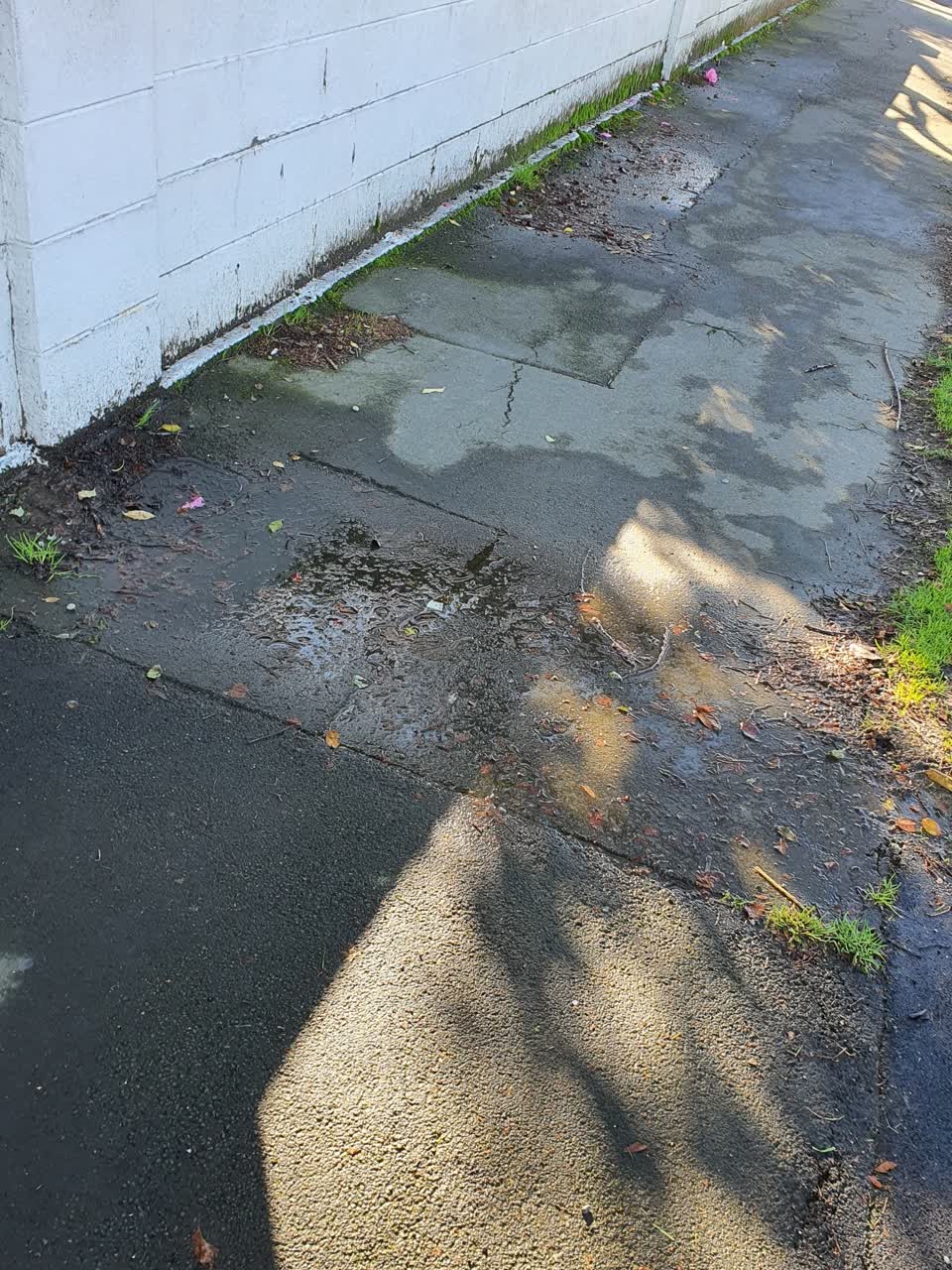 The photograph attached to this water supply report