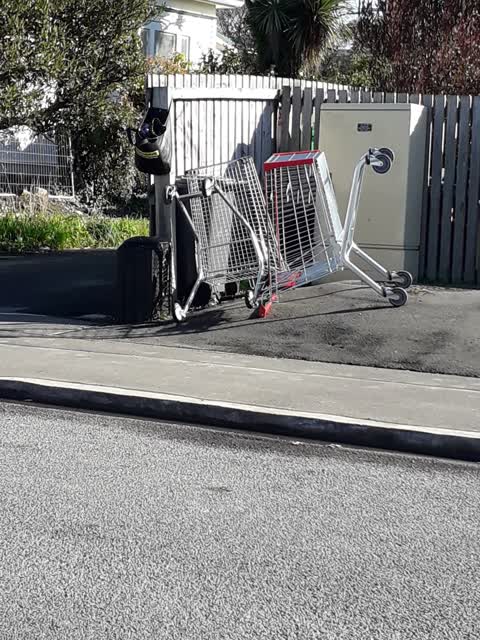 Rubbish/Recycling, a report photo