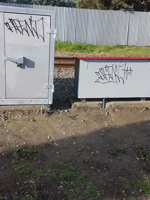 Graffiti, a report photo
