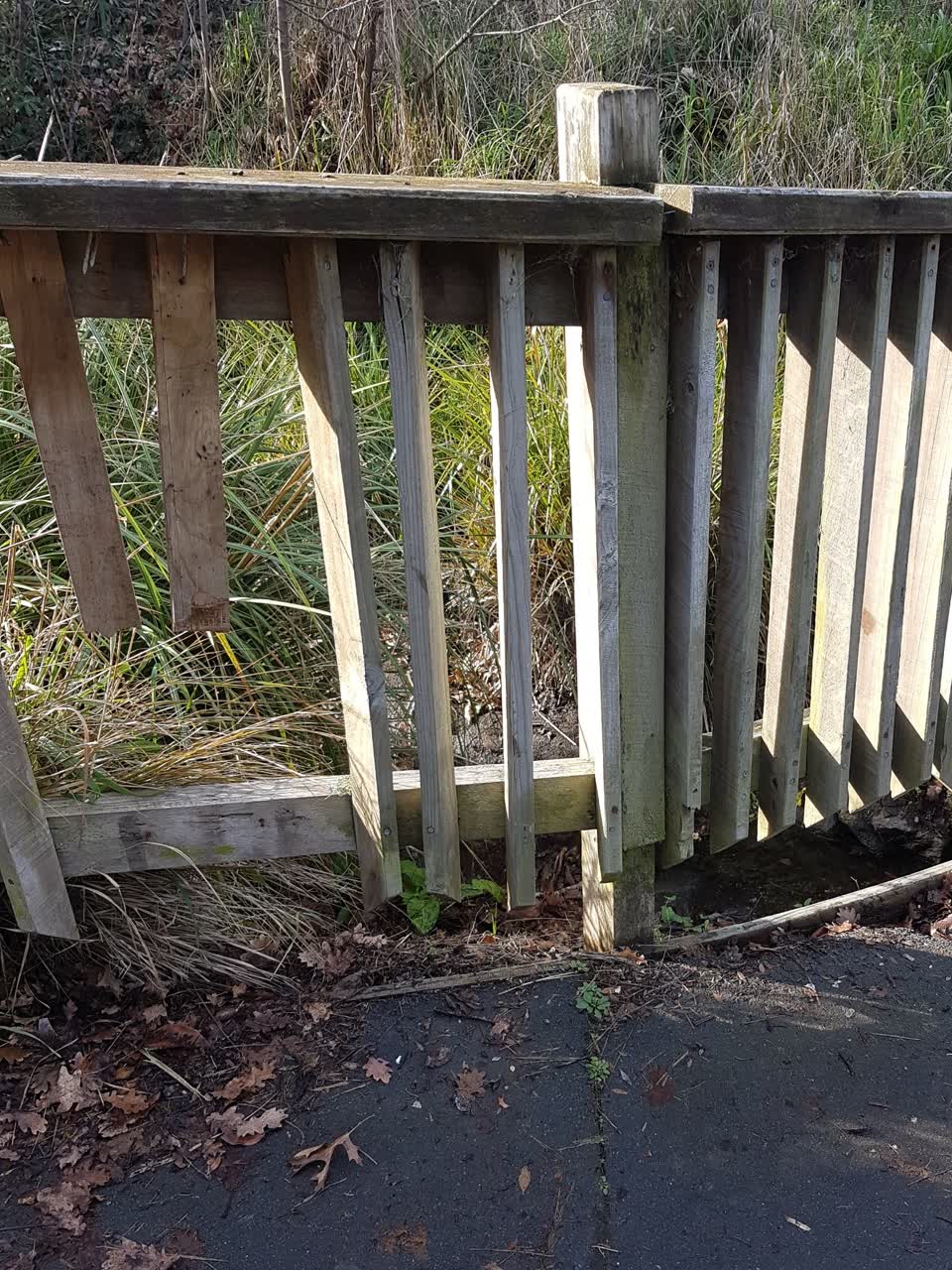 The photograph attached to this parks report