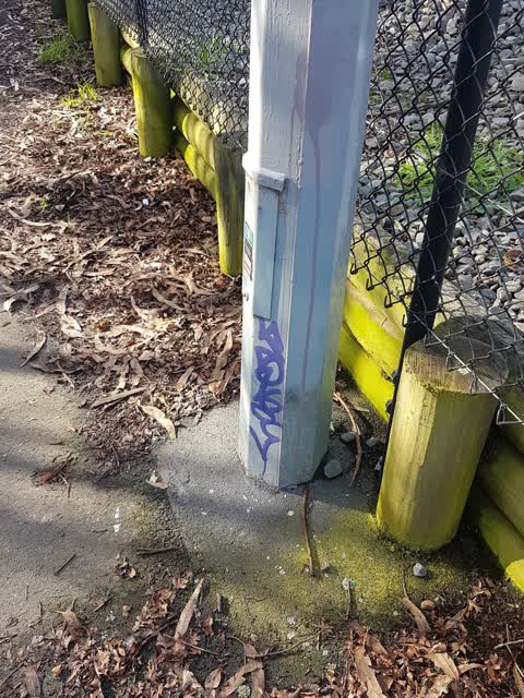 Graffiti — a report photo