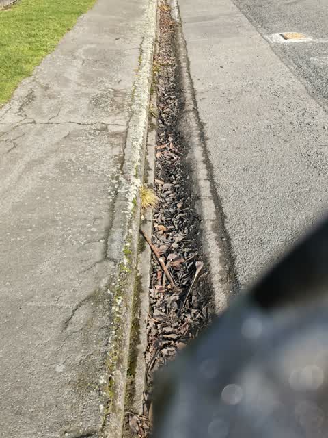 Roading/Streets, a report photo