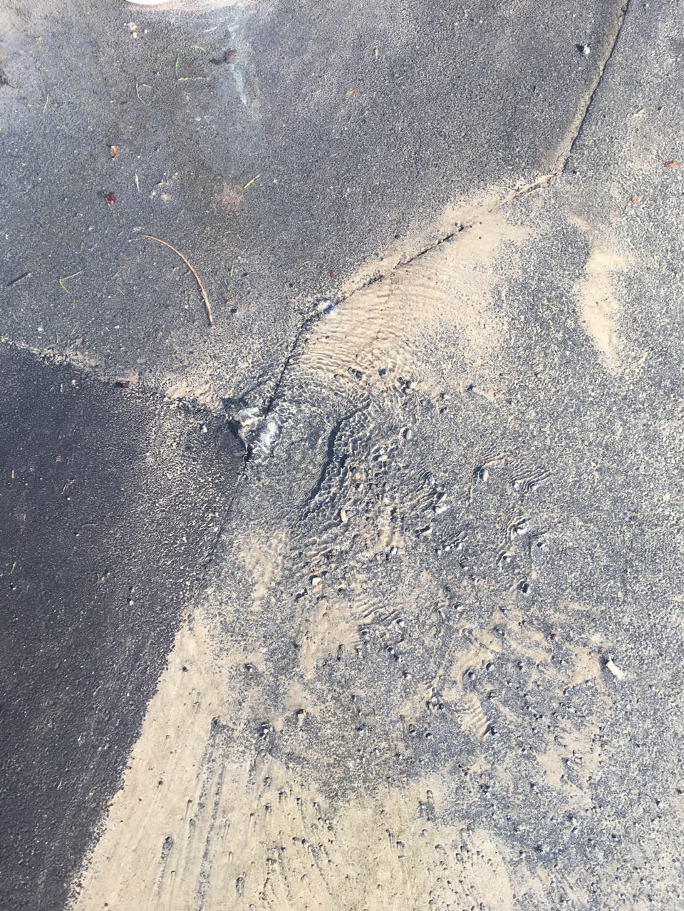The photograph attached to this flooding report