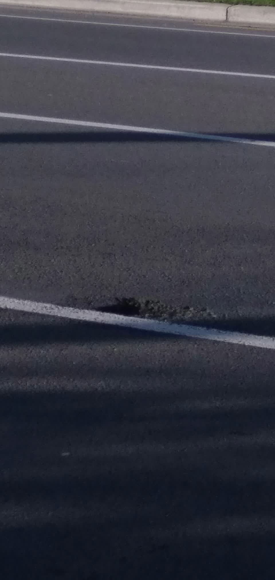 The photograph attached to this roading/streets report