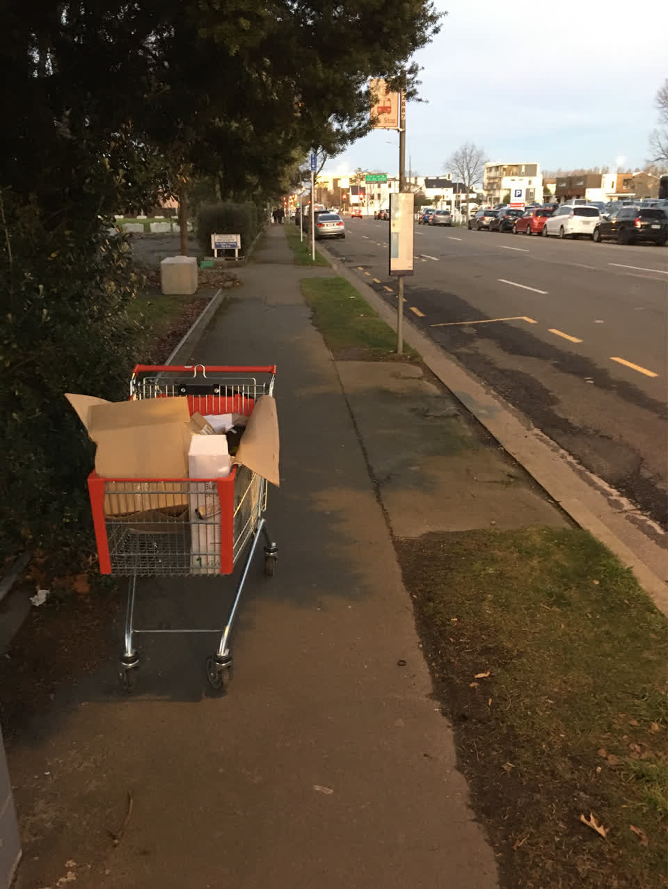 The photograph attached to this rubbish/recycling report