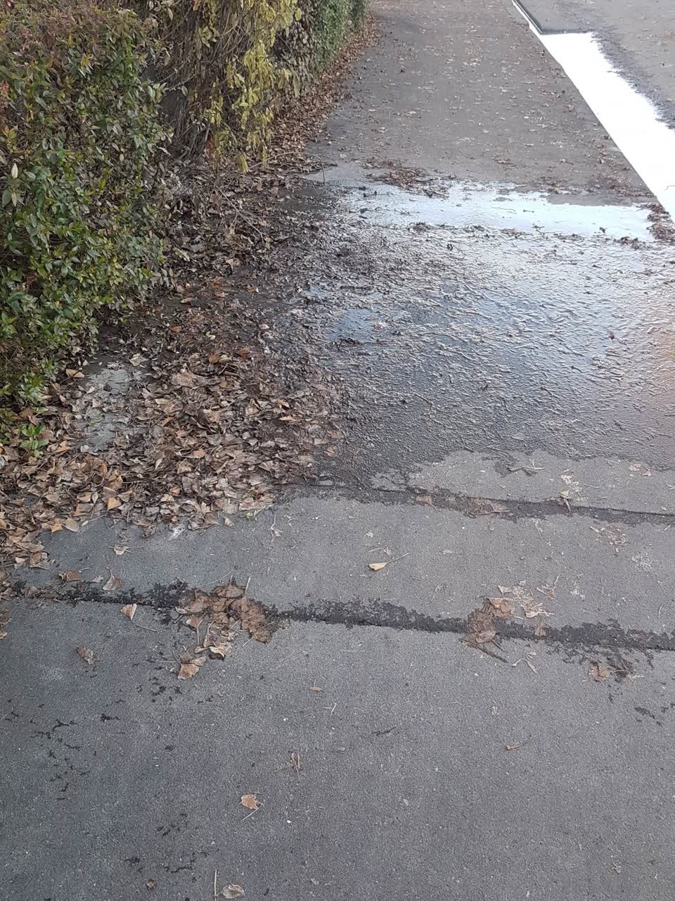 The photograph attached to this water supply report