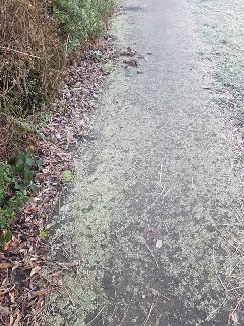 Roading/Streets, a report photo
