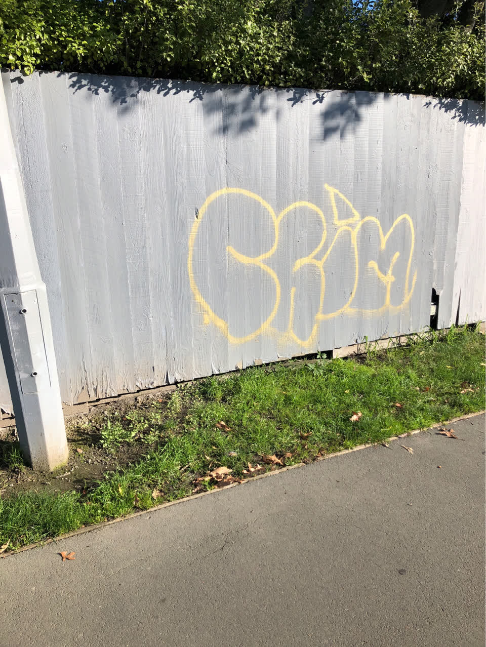 The photograph attached to this graffiti report