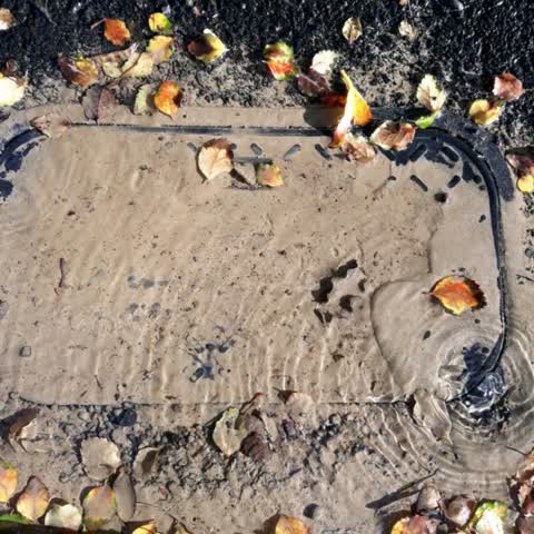 Water Supply, a report photo