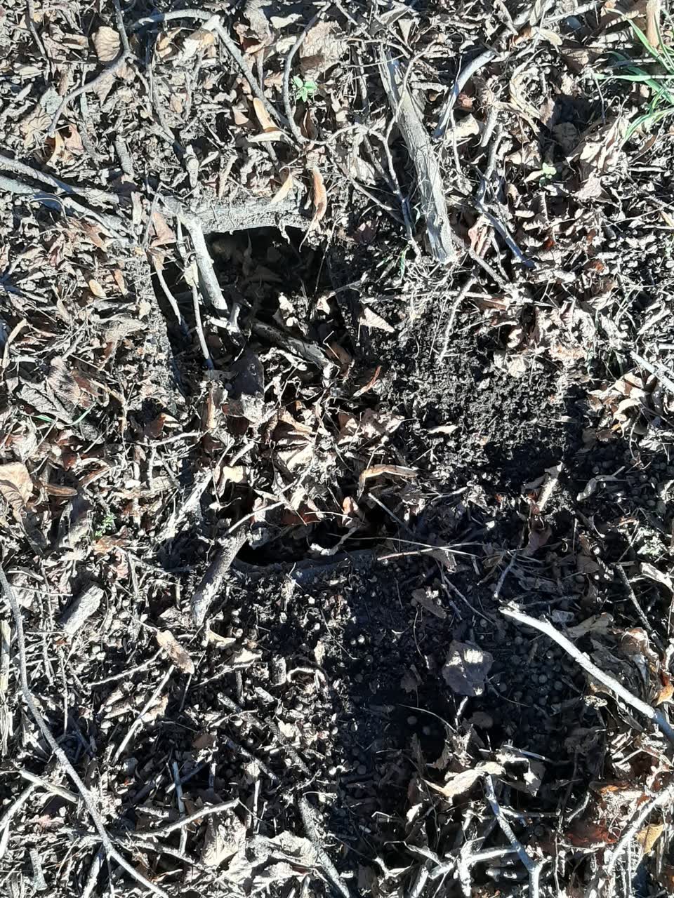 The photograph attached to this water supply report