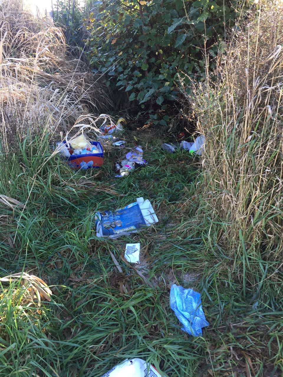 The photograph attached to this parks report