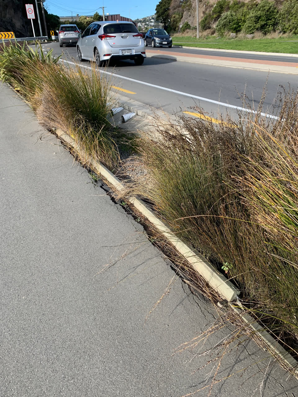 The photograph attached to this parks report