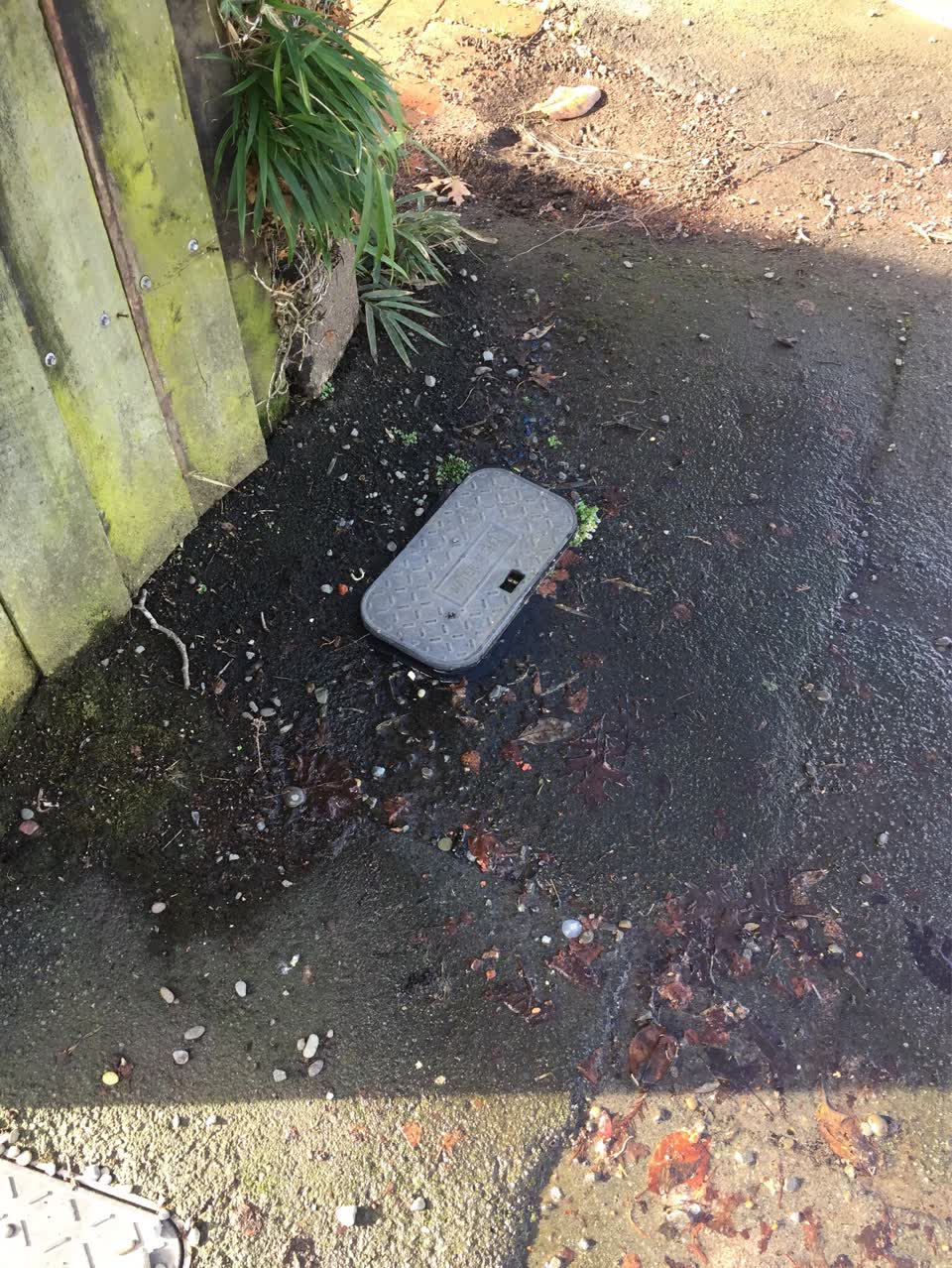 The photograph attached to this water supply report