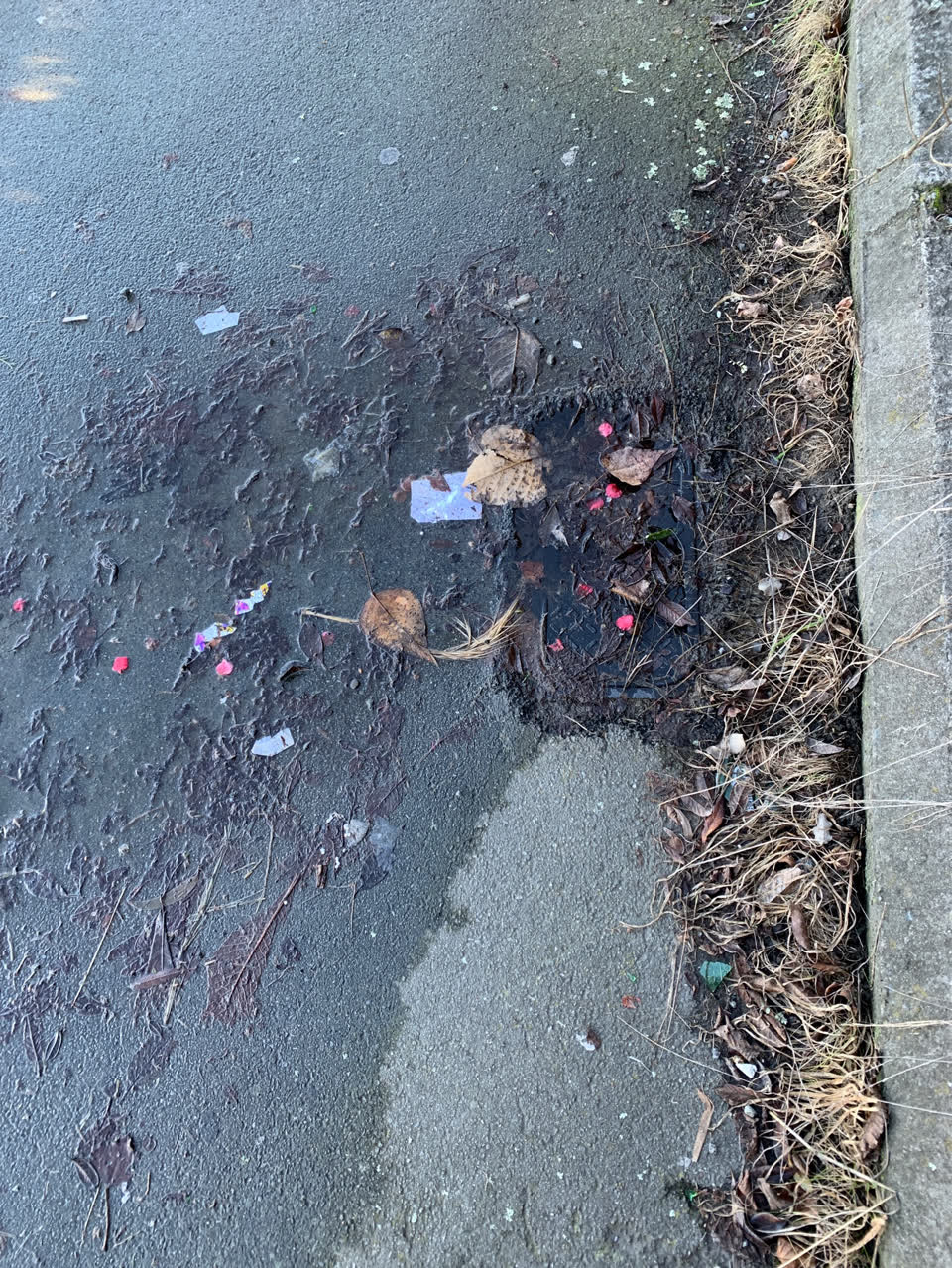The photograph attached to this water supply report