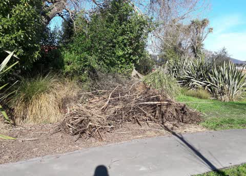 Parks, a report photo