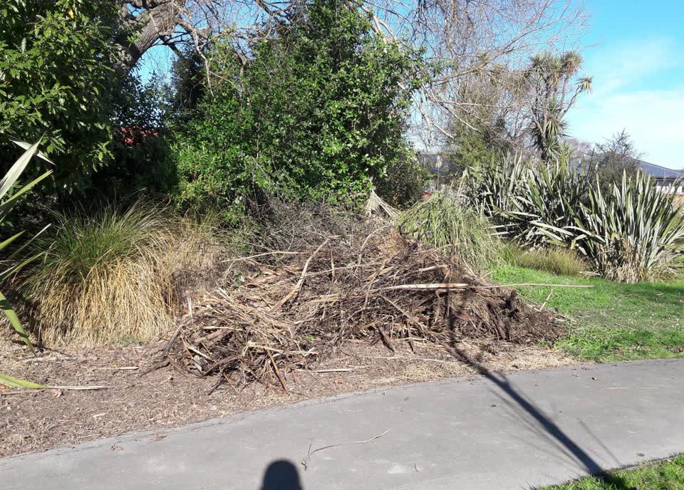 The photograph attached to this parks report