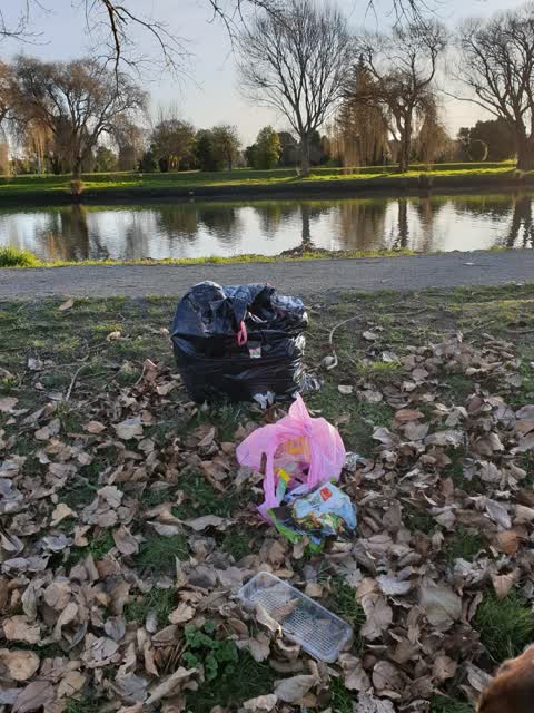 Rubbish/Recycling, a report photo