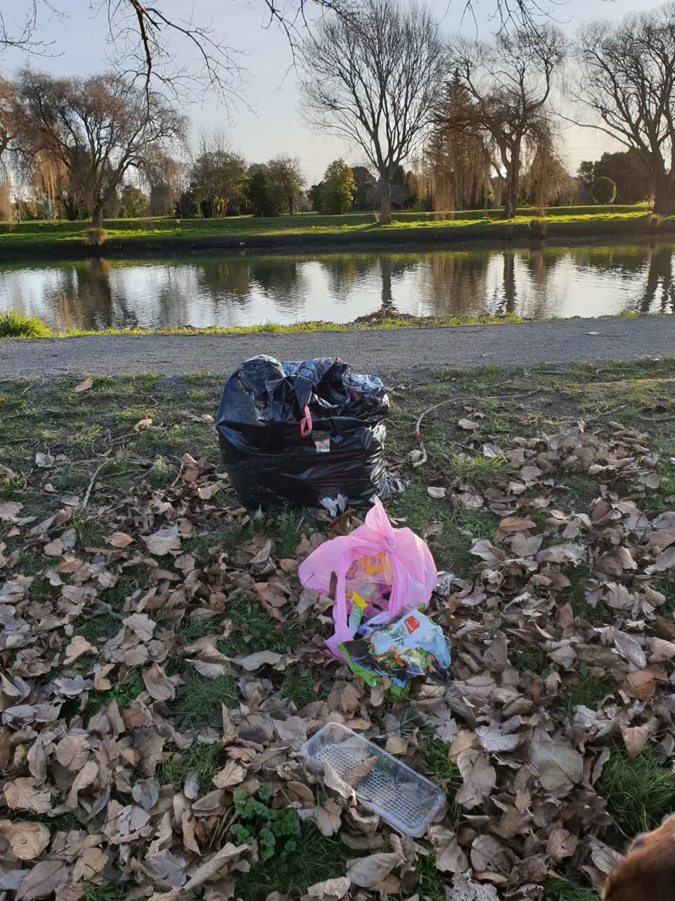 The photograph attached to this rubbish/recycling report