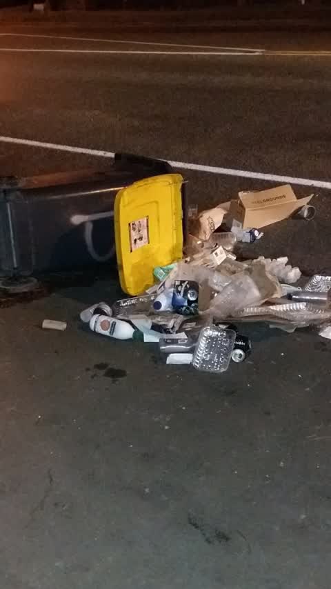 Rubbish/Recycling, a report photo