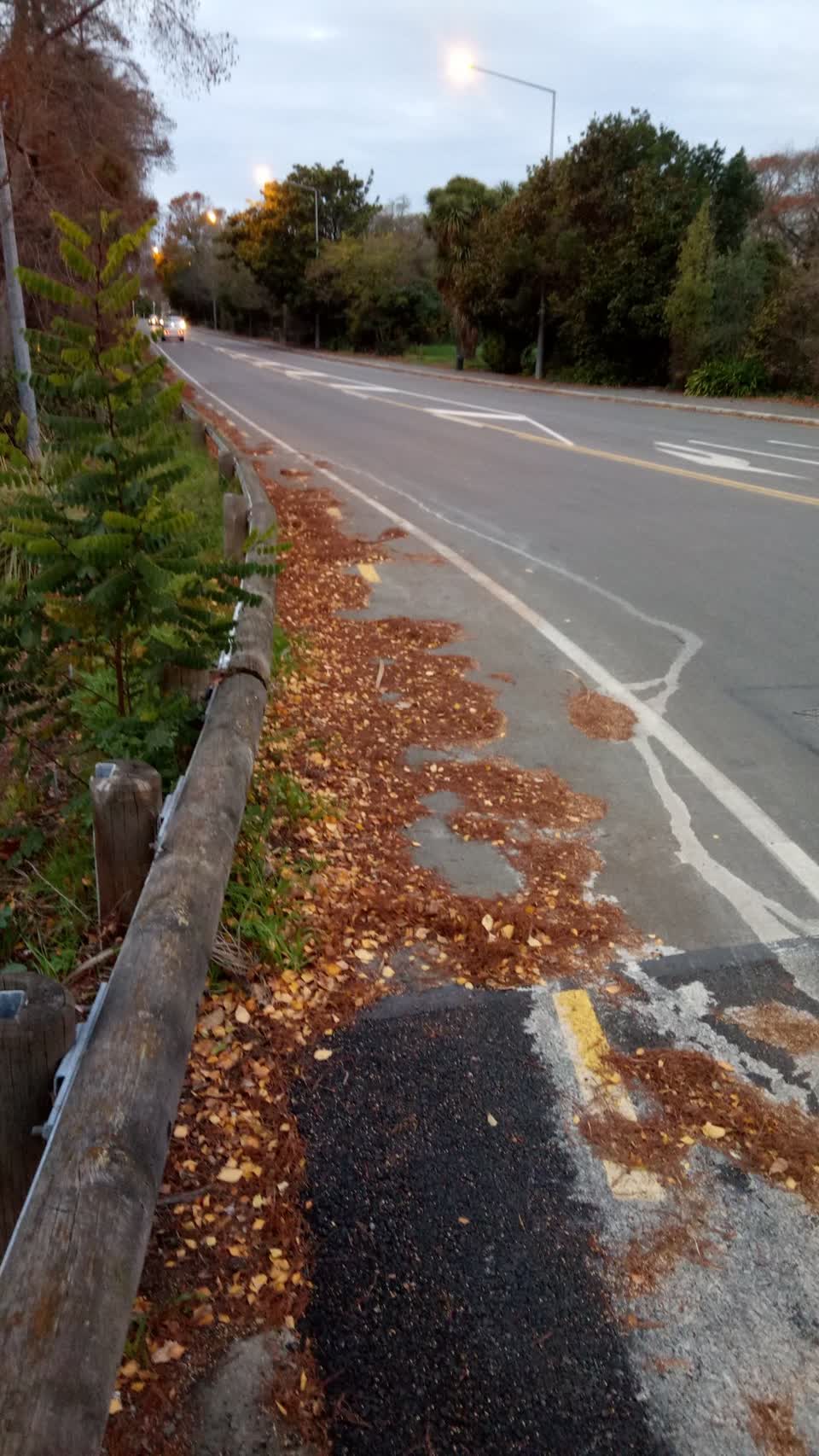 The photograph attached to this roading/streets report