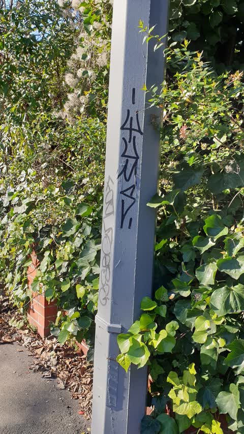 Graffiti, a report photo