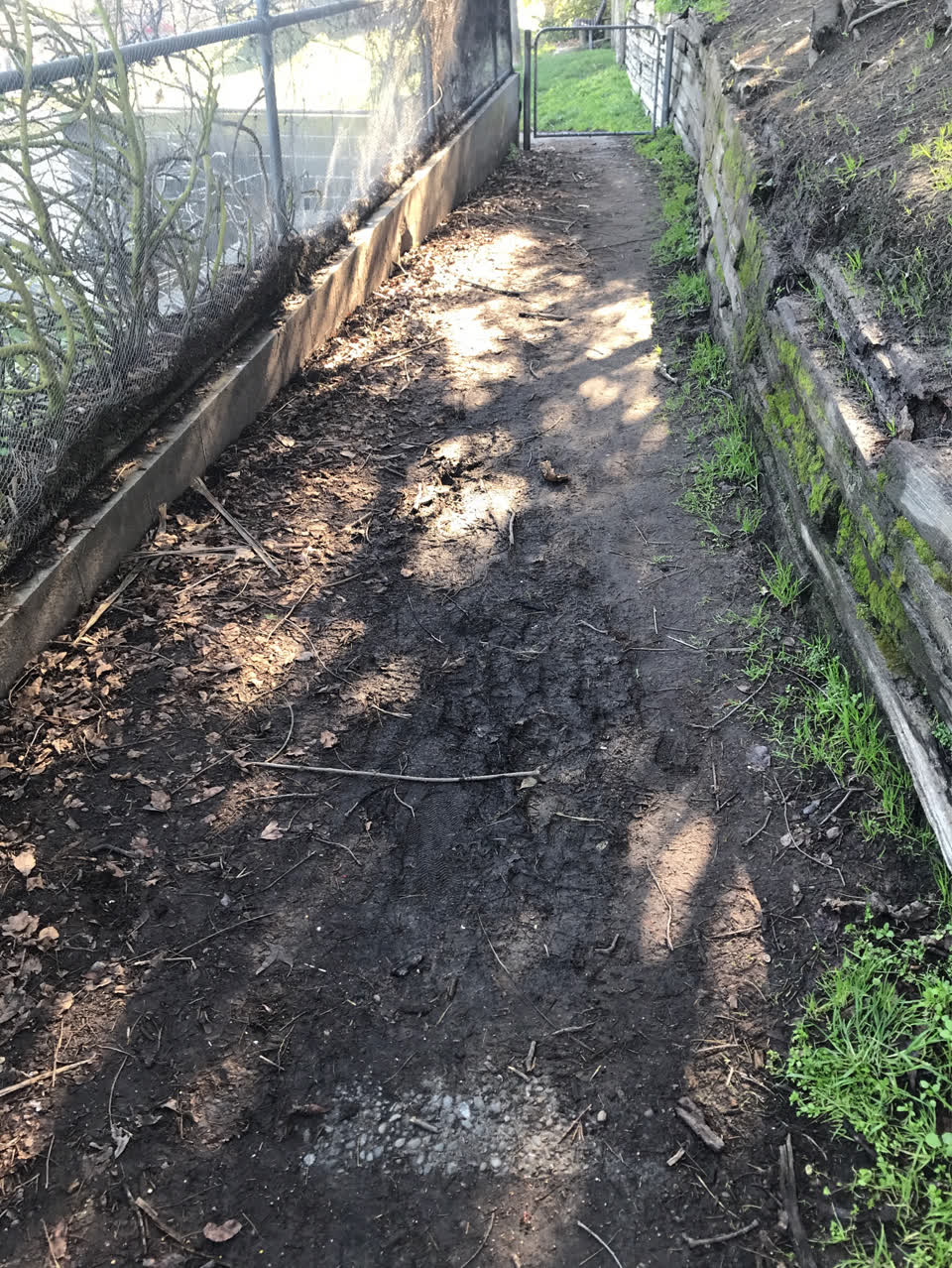 The photograph attached to this parks report