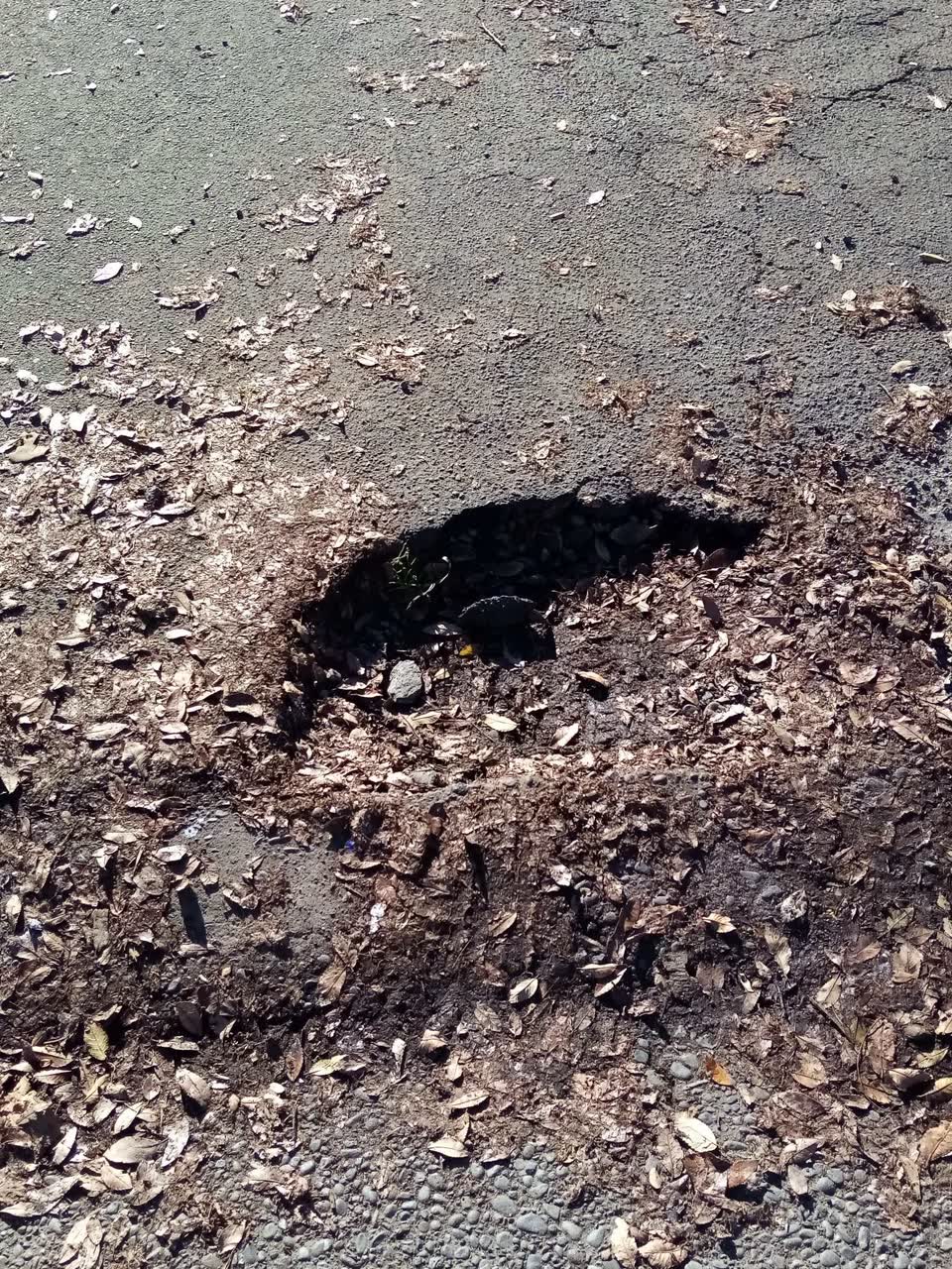 The photograph attached to this roading/streets report
