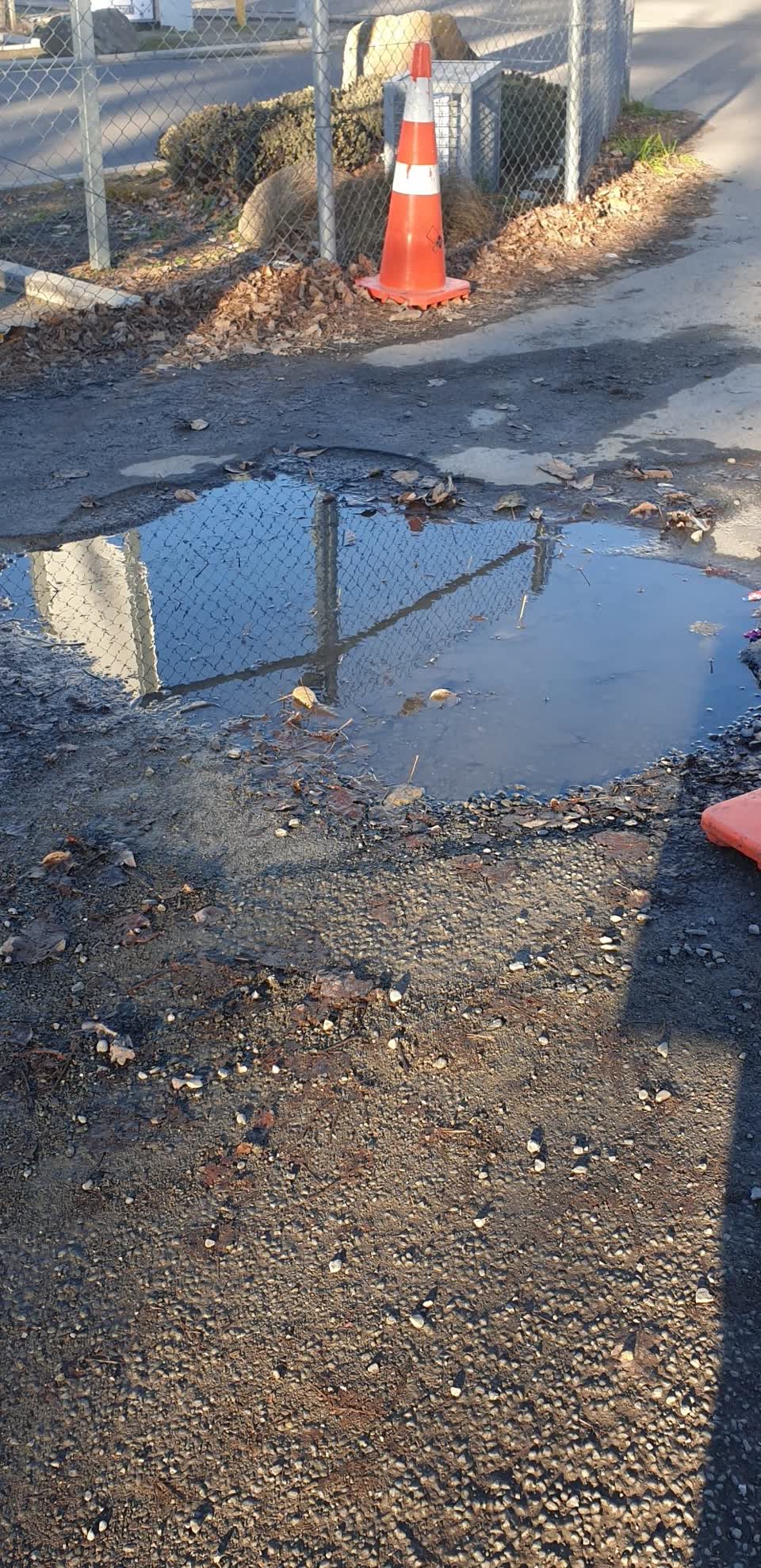 The photograph attached to this parks report
