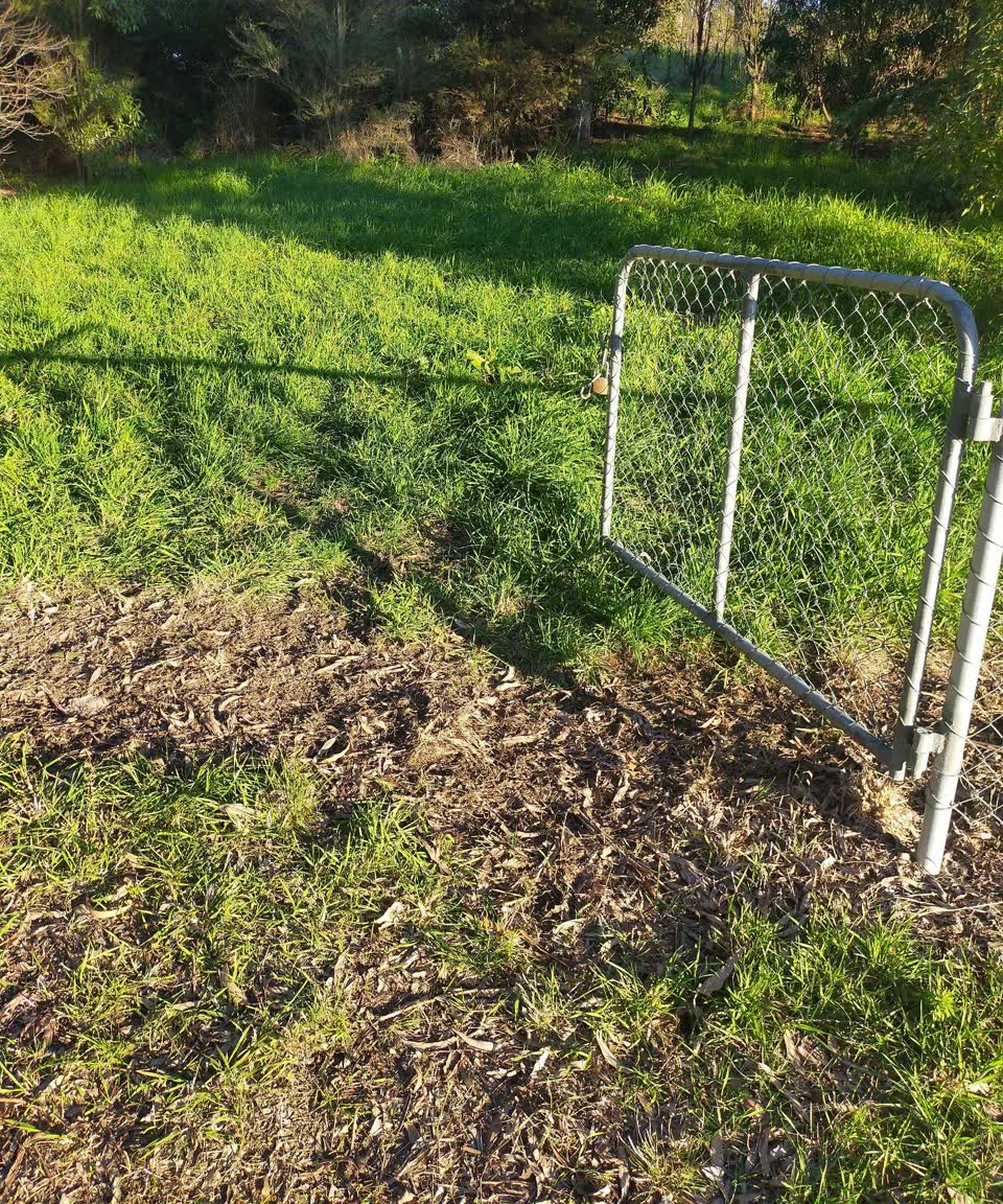 The photograph attached to this parks report