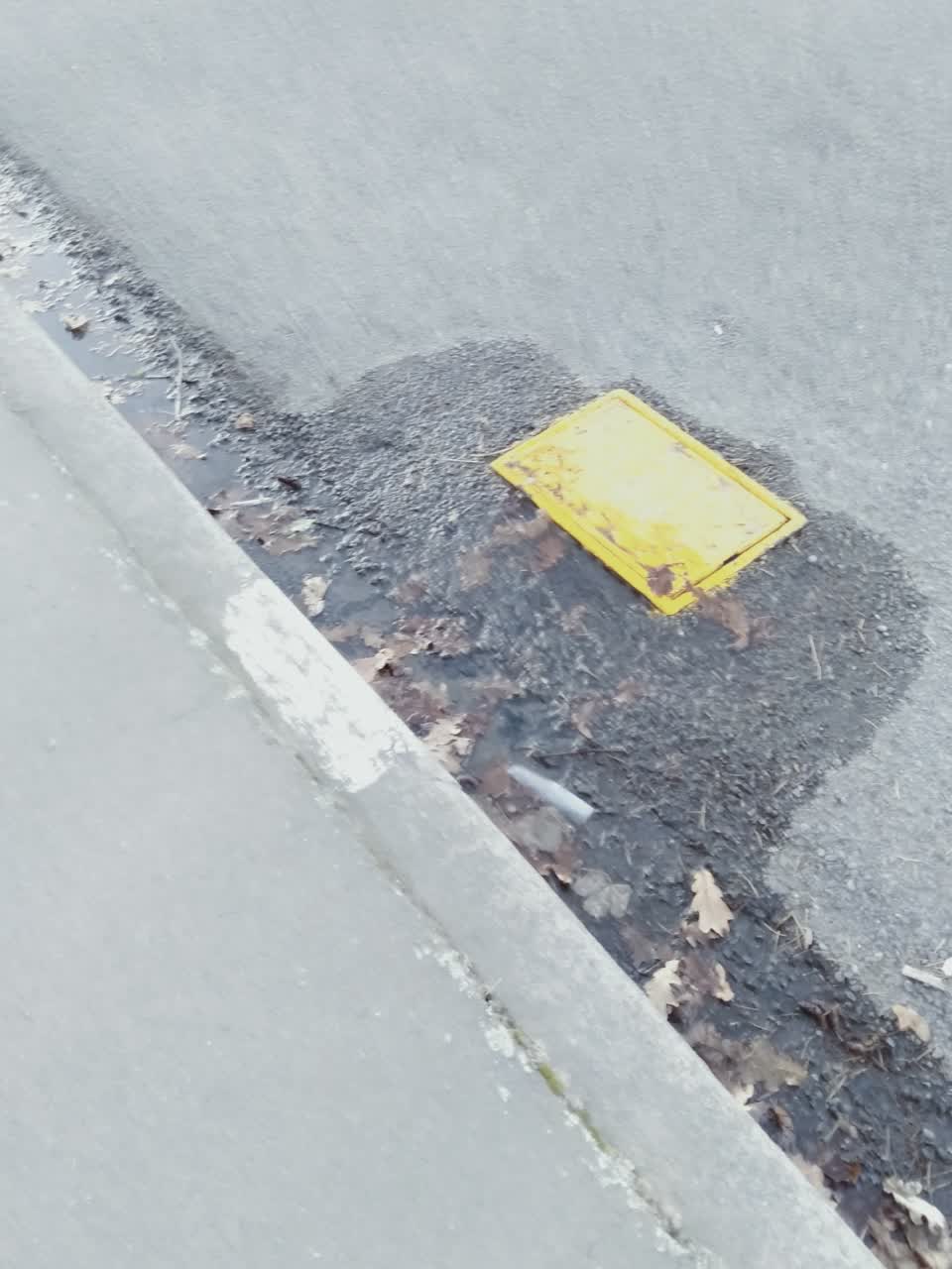 The photograph attached to this water supply report