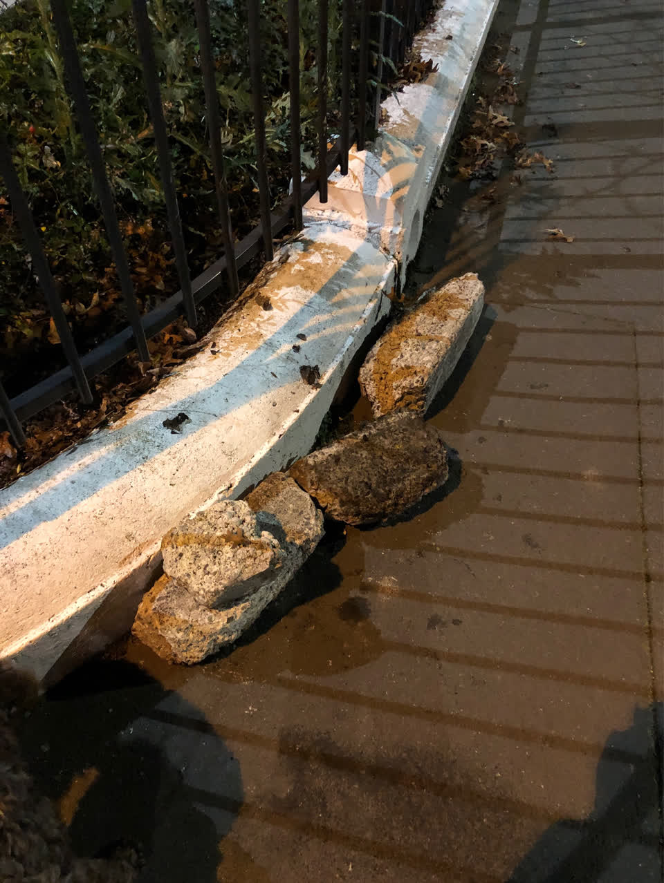 The photograph attached to this roading/streets report