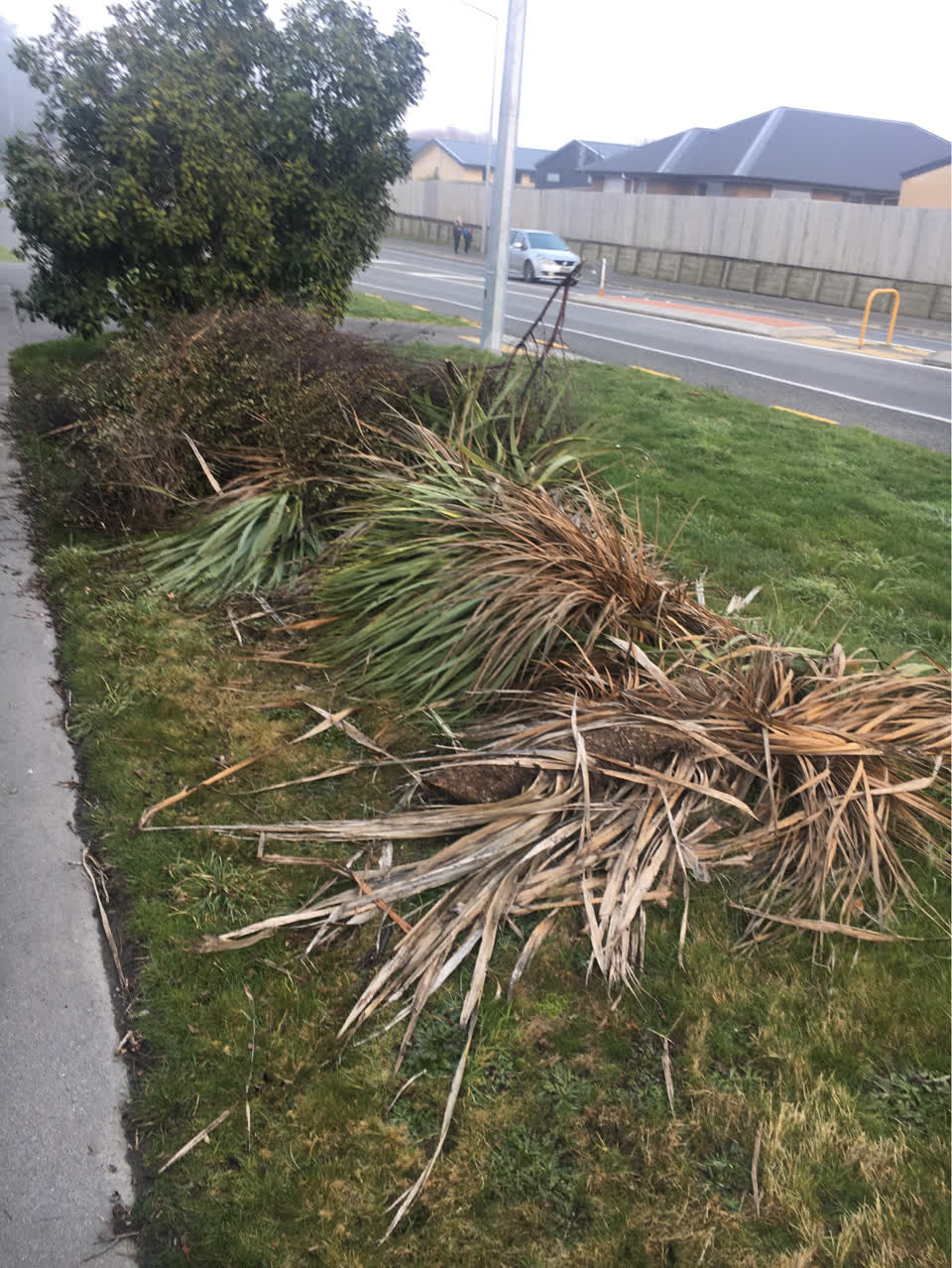 The photograph attached to this parks report
