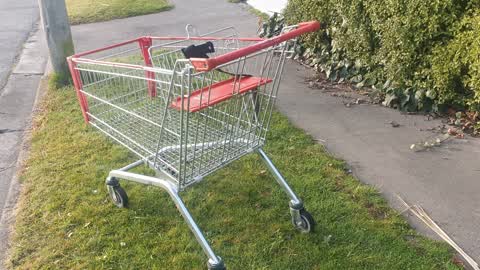 Rubbish/Recycling, a report photo
