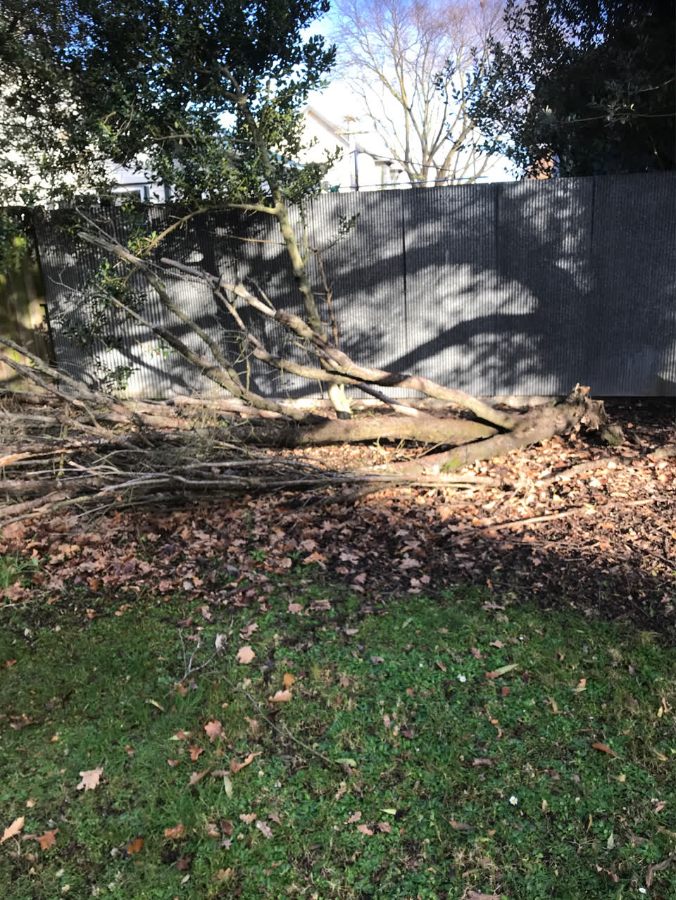 The photograph attached to this parks report