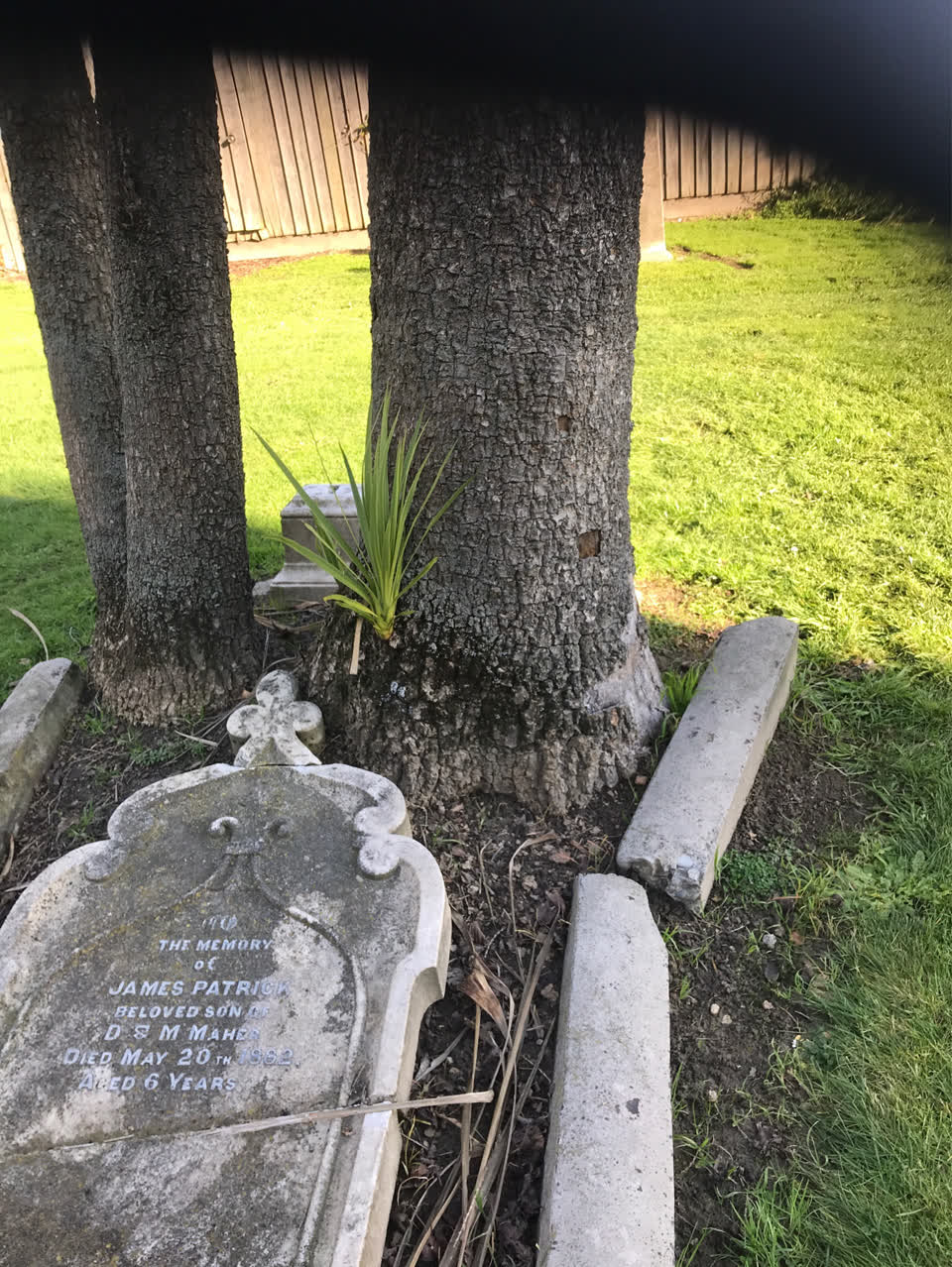 The photograph attached to this parks report
