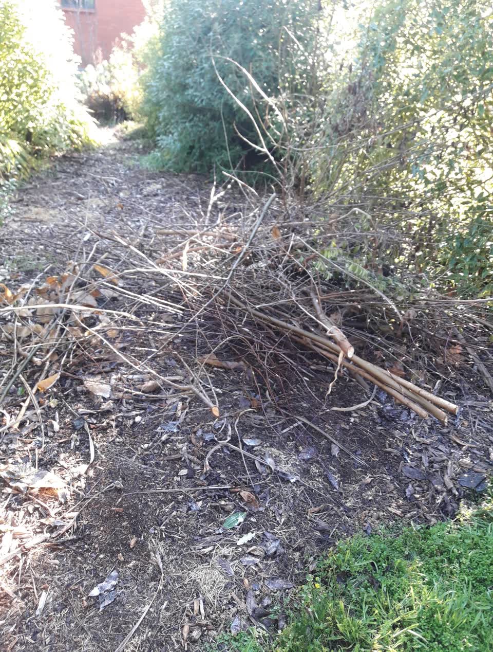 The photograph attached to this parks report