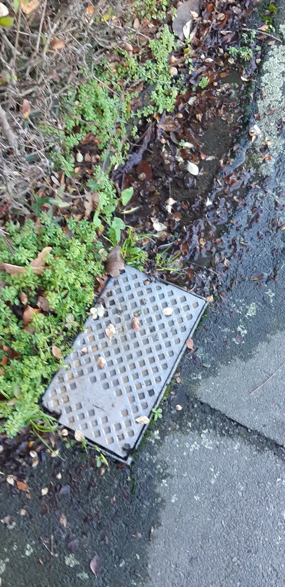 The photograph attached to this water supply report