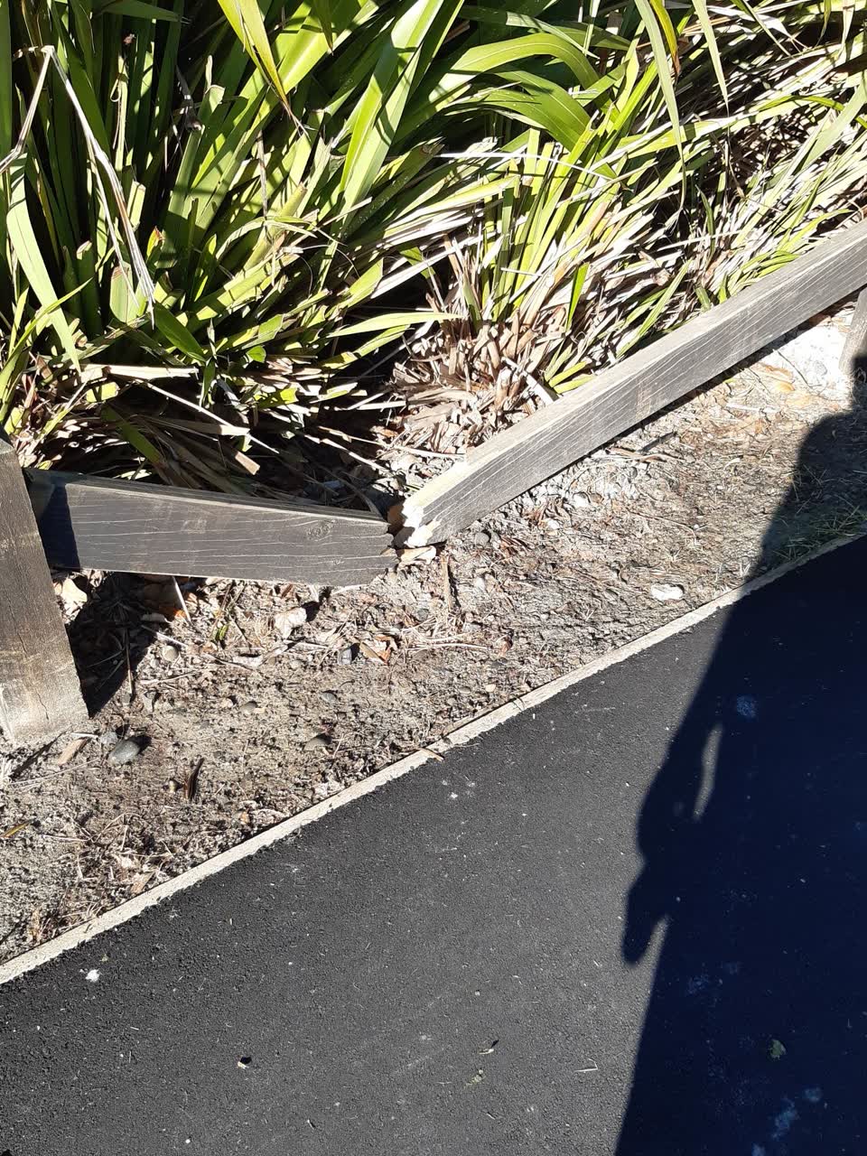 The photograph attached to this parks report